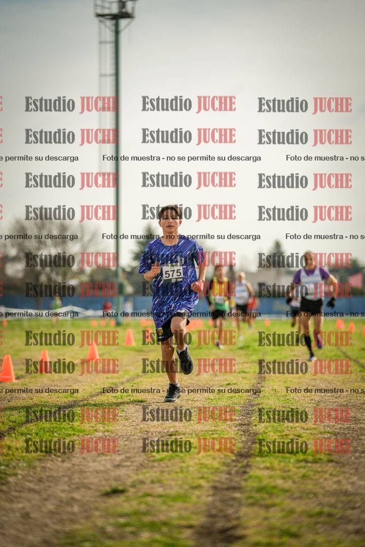 Fotos de la llegada del cross de 1500 m
