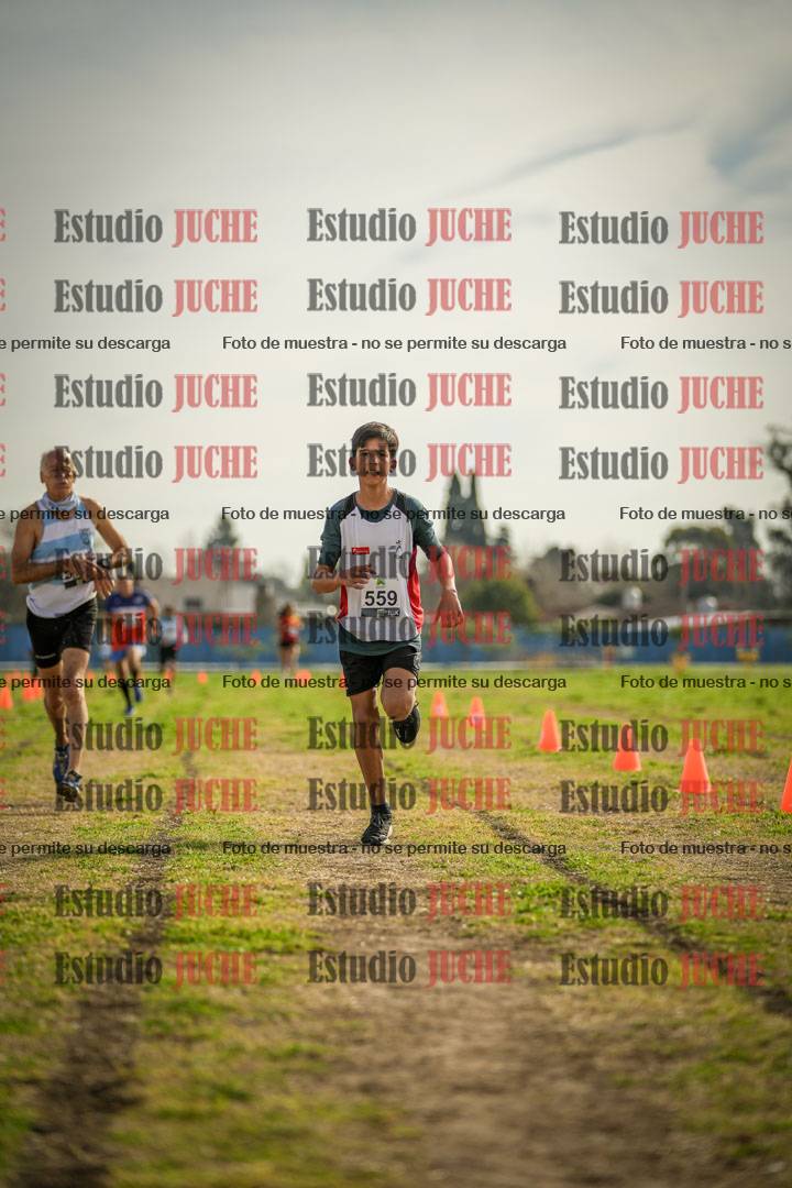 Fotos de la llegada del cross de 1500 m