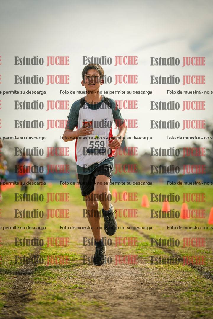 Fotos de la llegada del cross de 1500 m