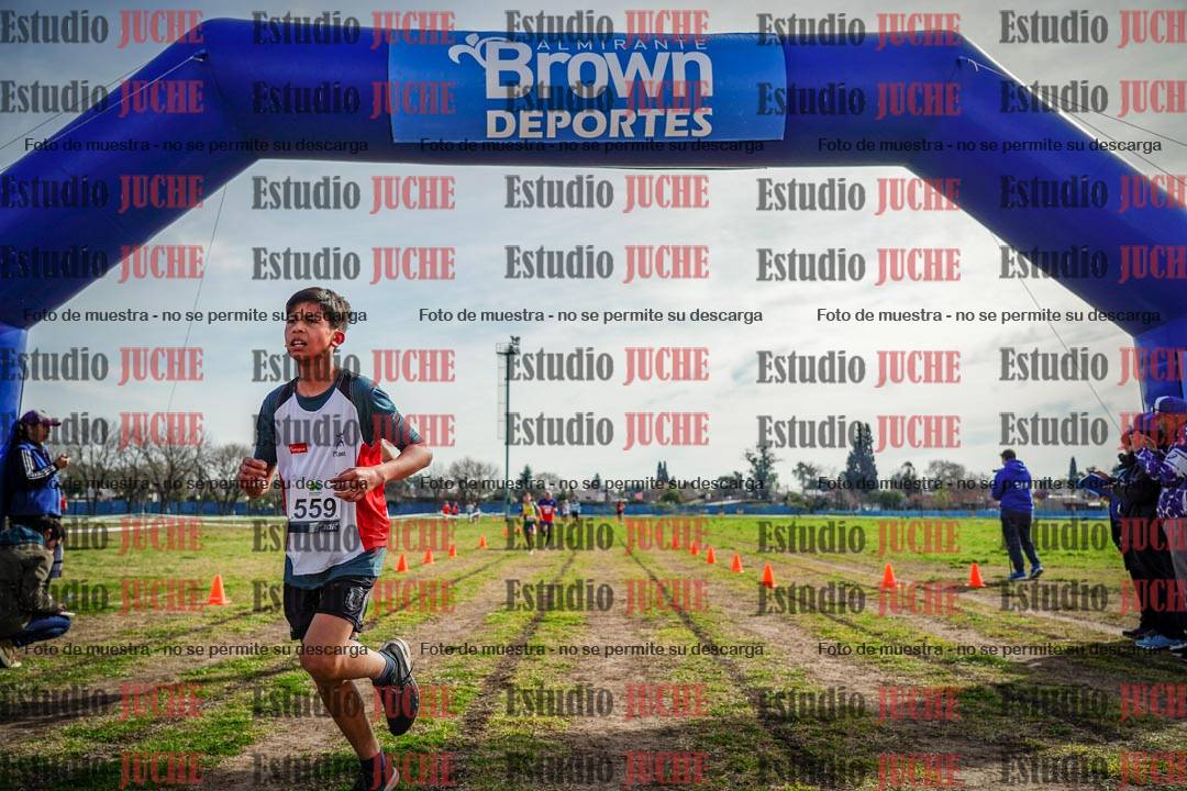 Fotos de la llegada del cross de 1500 m