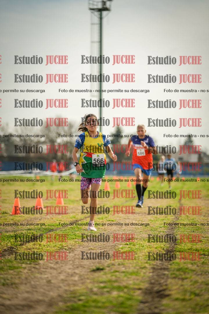 Fotos de la llegada del cross de 1500 m