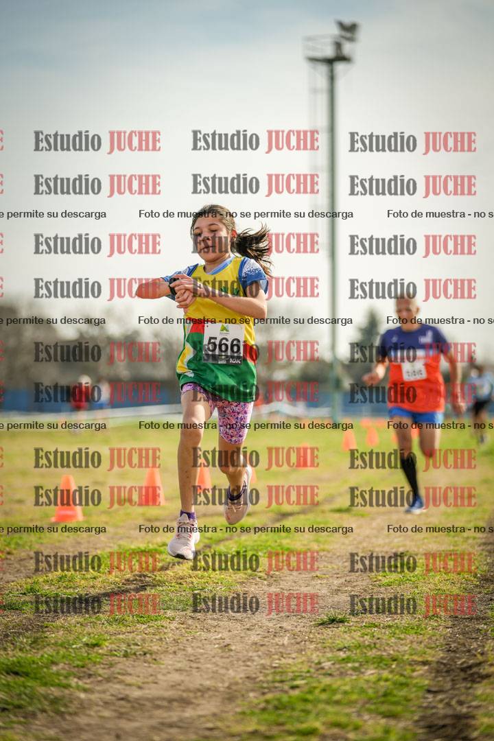 Fotos de la llegada del cross de 1500 m