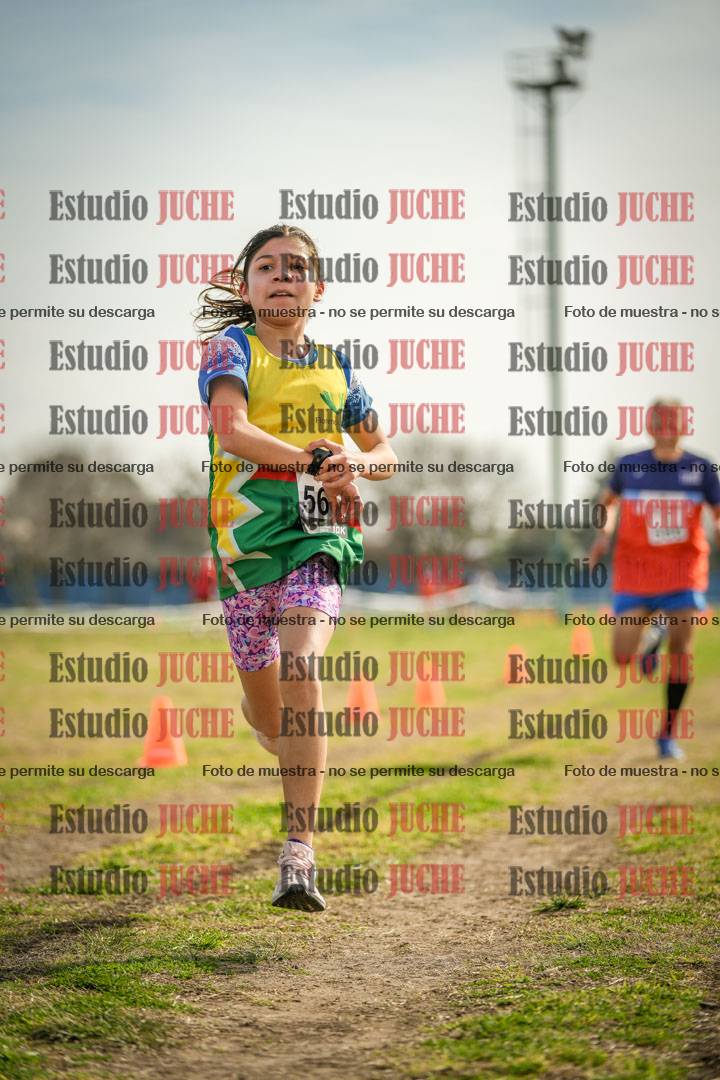 Fotos de la llegada del cross de 1500 m