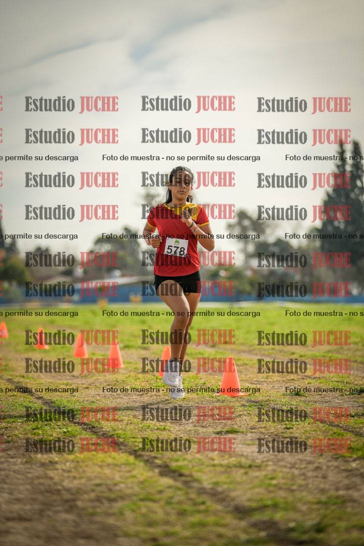 Fotos de la llegada del cross de 1500 m