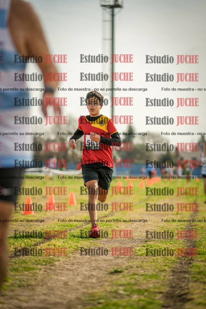 Fotos de la llegada del cross de 1500 m