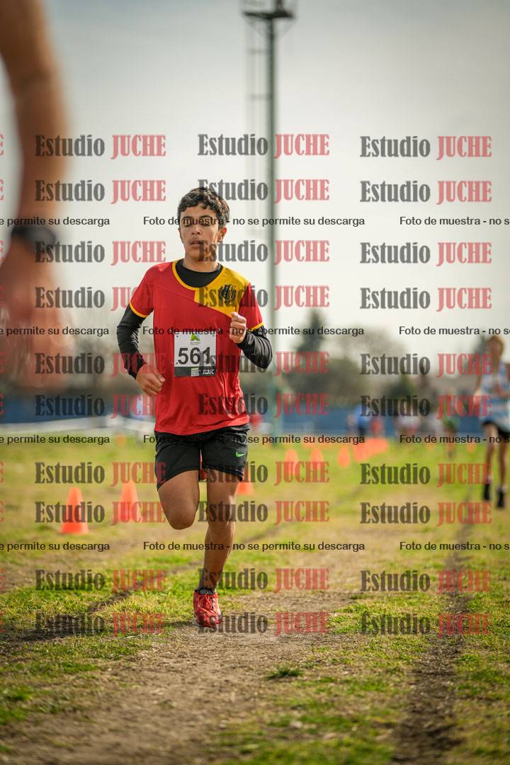 Fotos de la llegada del cross de 1500 m