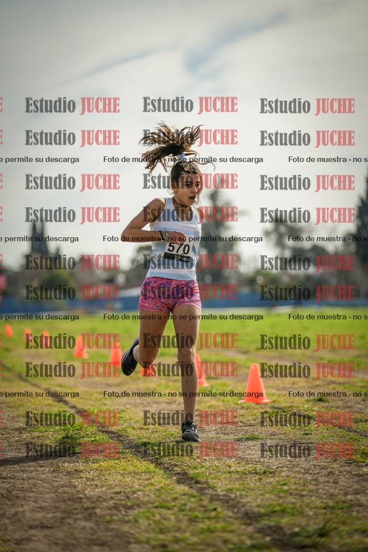 Fotos de la llegada del cross de 1500 m