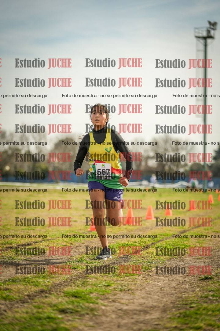 Fotos de la llegada del cross de 1500 m