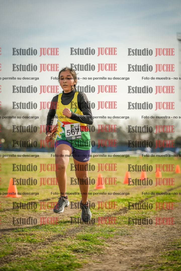 Fotos de la llegada del cross de 1500 m