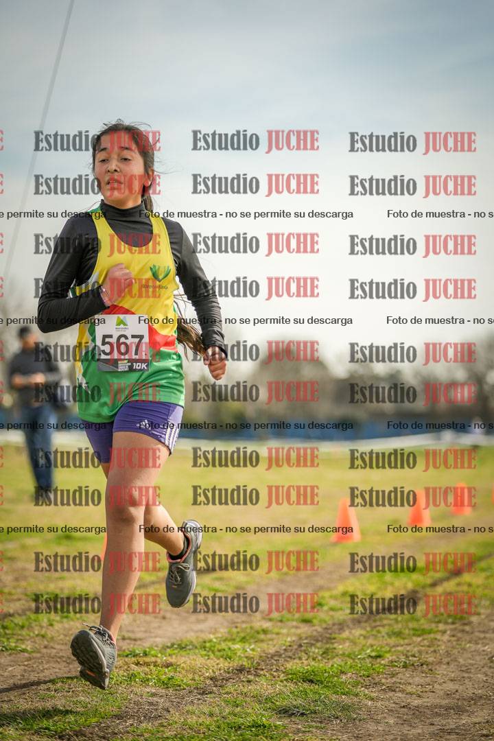 Fotos de la llegada del cross de 1500 m