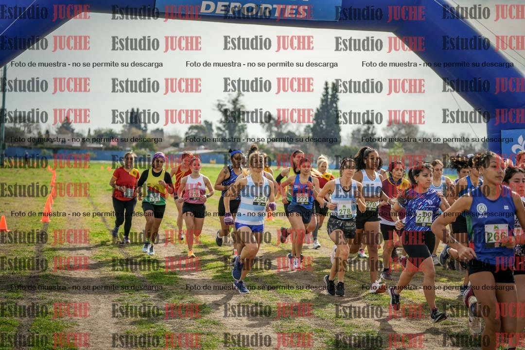 Fotos en de la largada