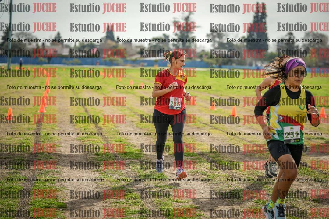 Fotos en de la largada