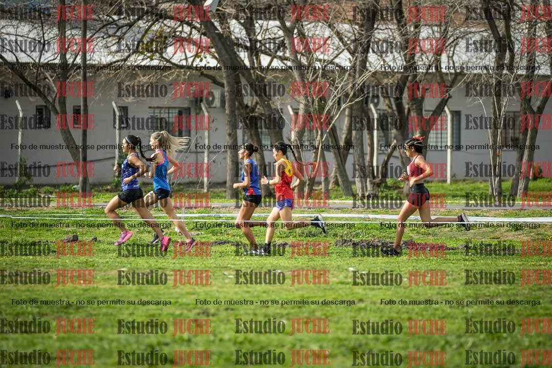 Fotos en de la largada