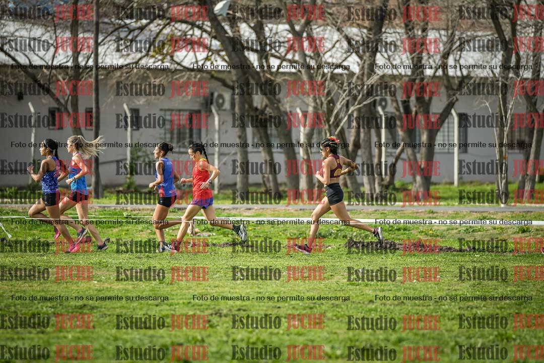 Fotos en de la largada