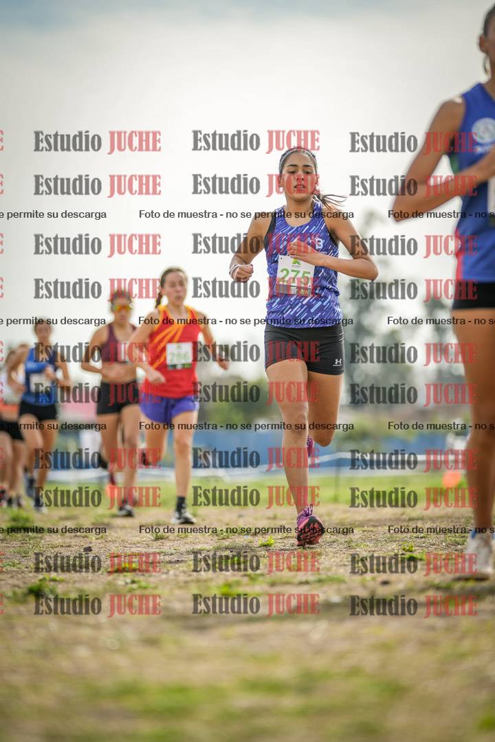 Fotos en el segundo punto del circuito