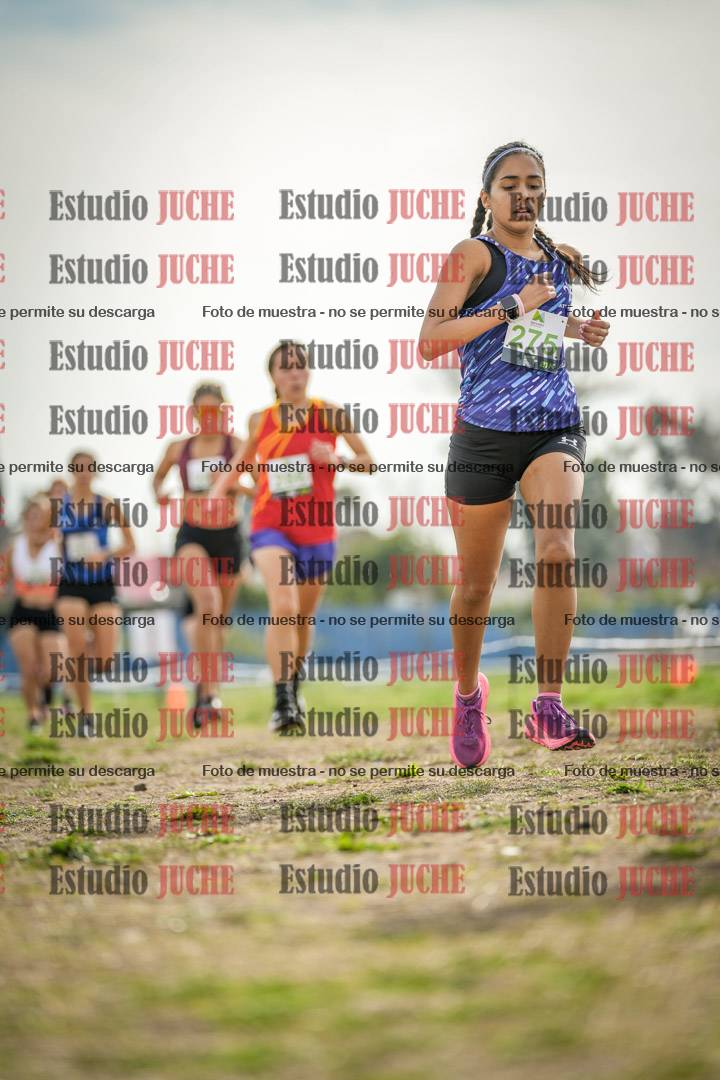 Fotos en el segundo punto del circuito