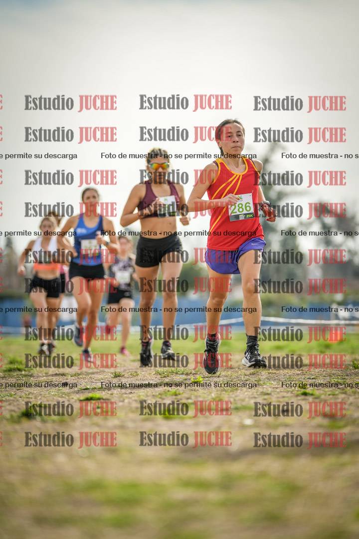 Fotos en el segundo punto del circuito