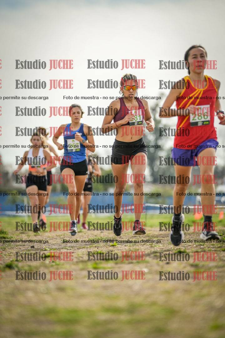 Fotos en el segundo punto del circuito