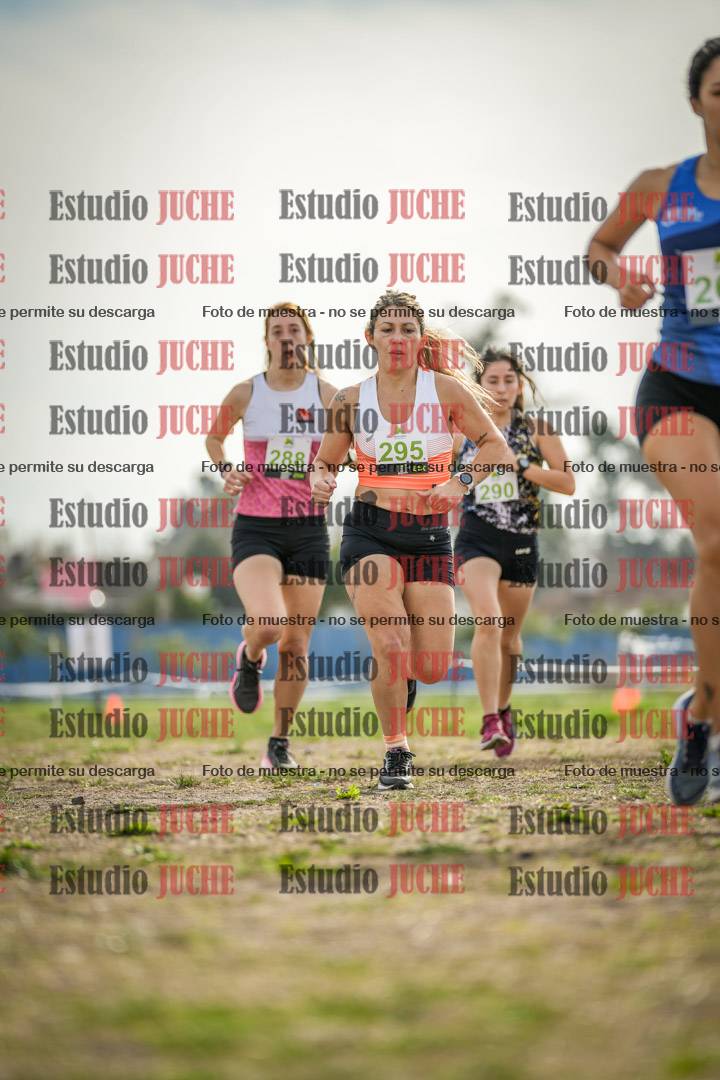 Fotos en el segundo punto del circuito