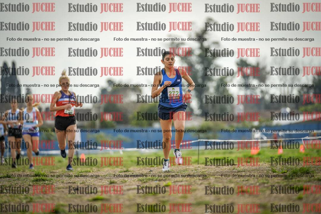 Fotos en el segundo punto del circuito