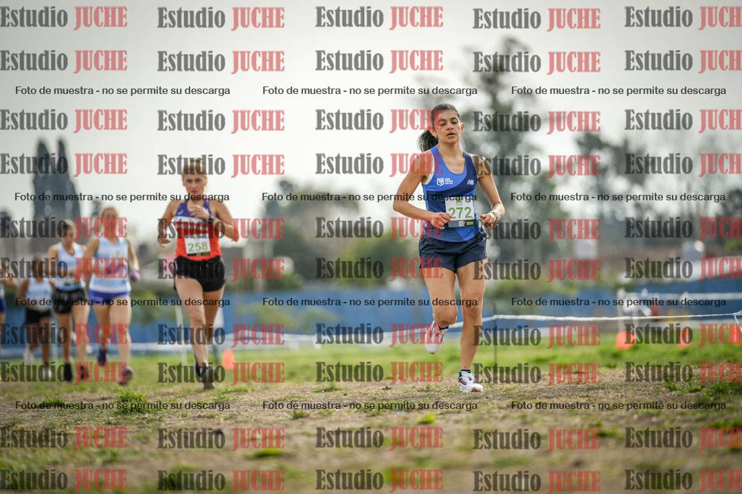 Fotos en el segundo punto del circuito