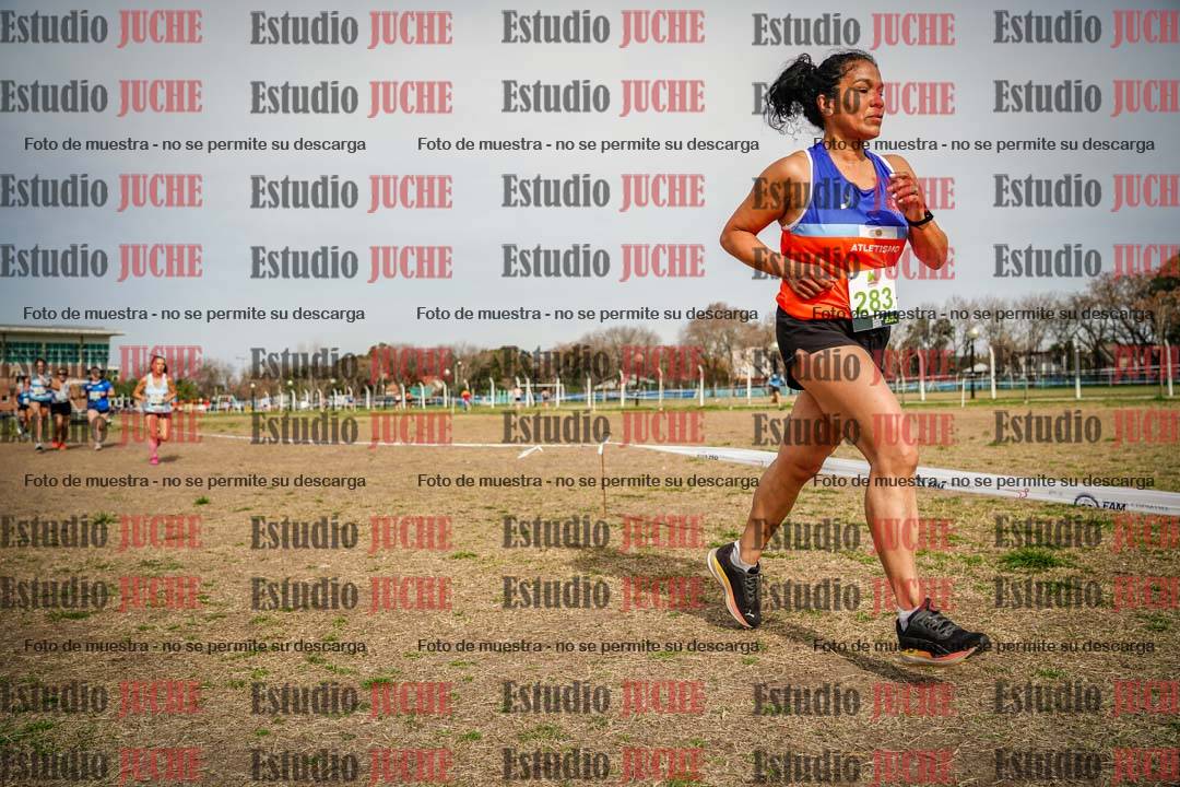 Fotos en el tercer punto del circuito