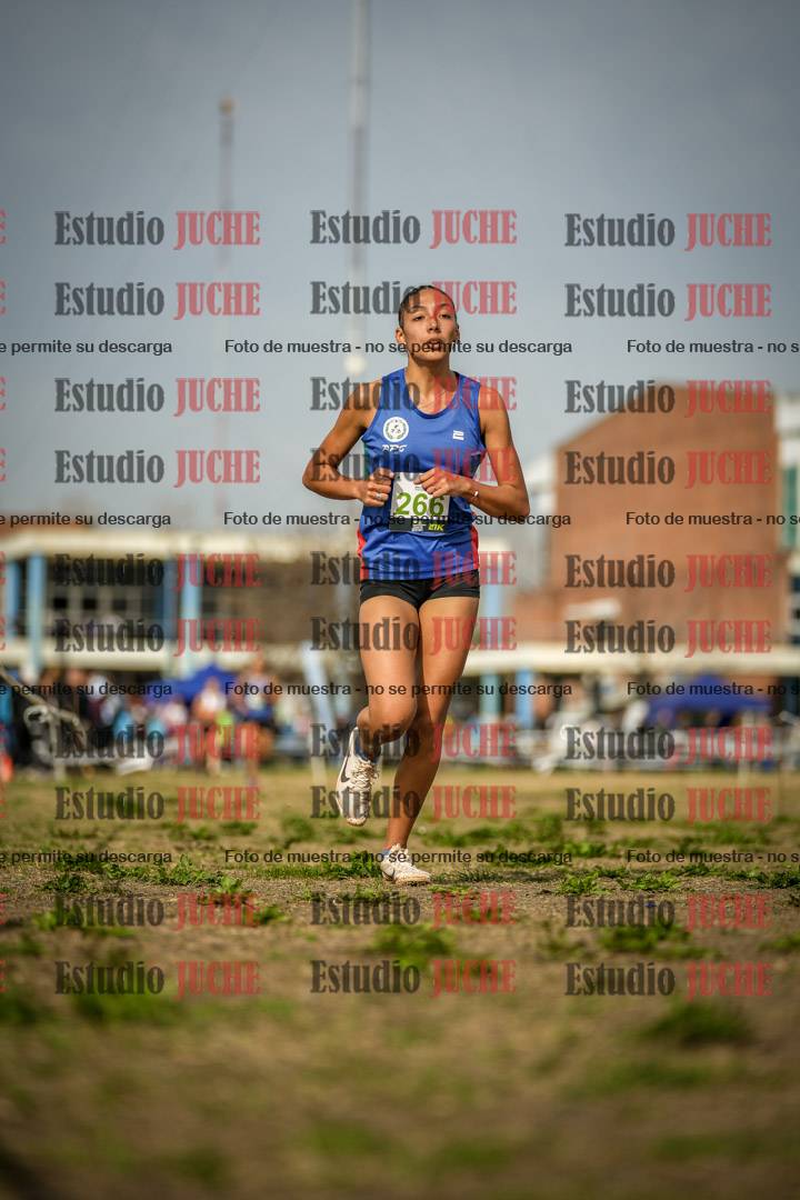 Fotos en el quinto punto del circuito