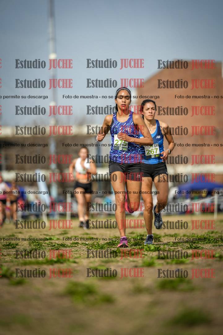 Fotos en el quinto punto del circuito