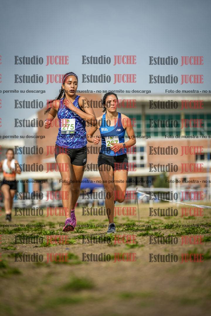 Fotos en el quinto punto del circuito