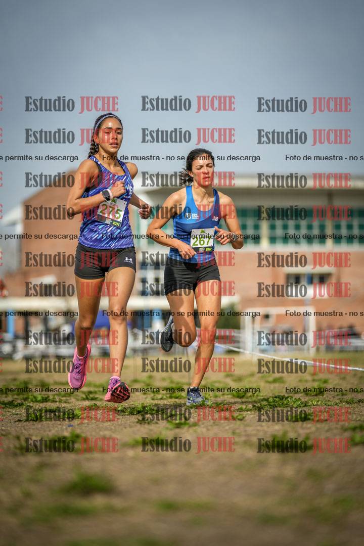 Fotos en el quinto punto del circuito