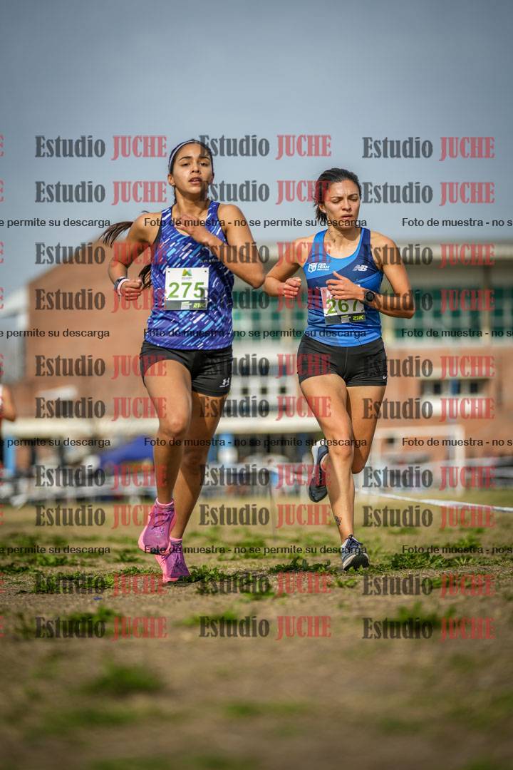 Fotos en el quinto punto del circuito