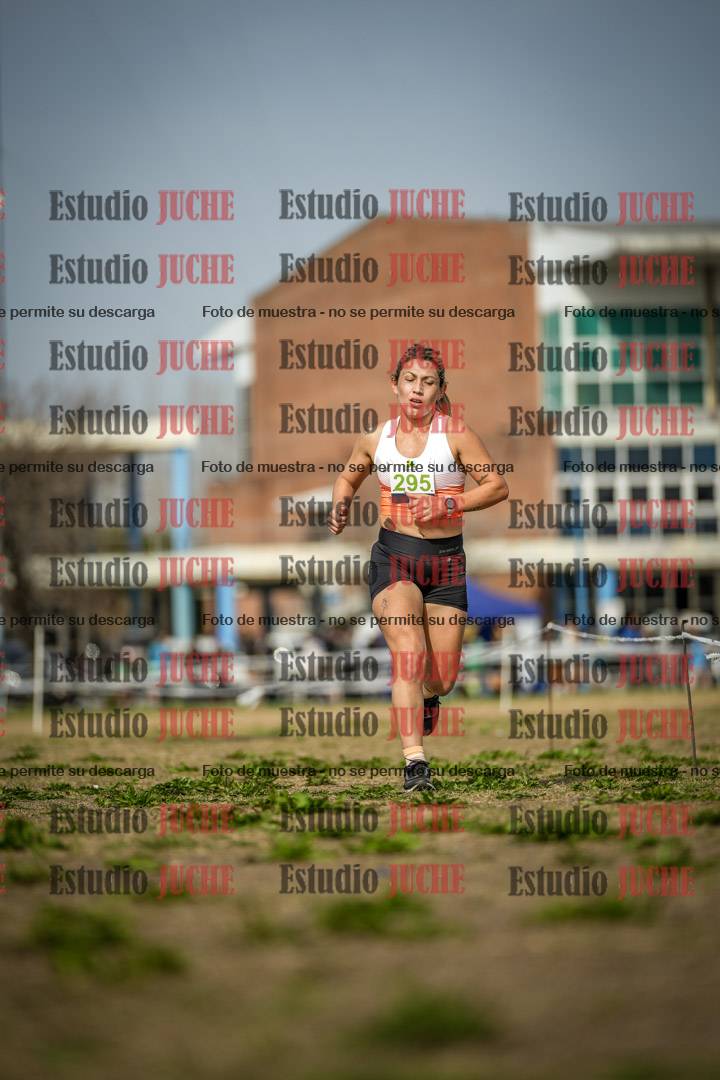 Fotos en el quinto punto del circuito