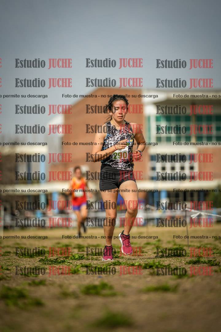 Fotos en el quinto punto del circuito