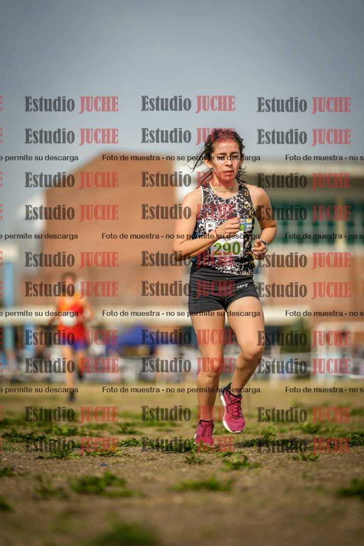Fotos en el quinto punto del circuito