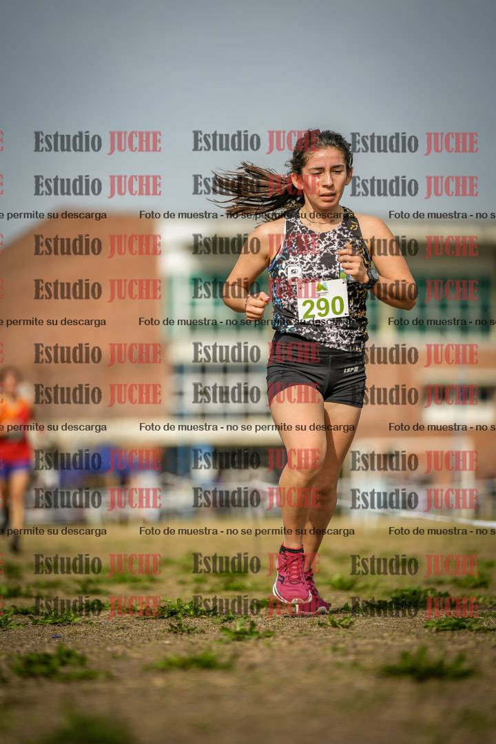Fotos en el quinto punto del circuito