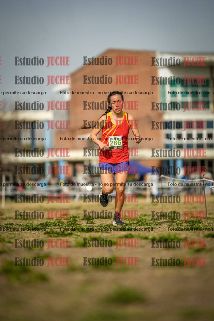 Fotos en el quinto punto del circuito