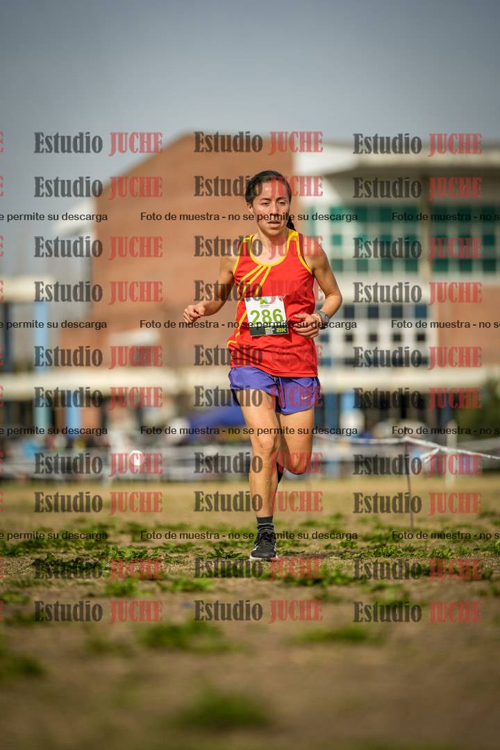 Fotos en el quinto punto del circuito