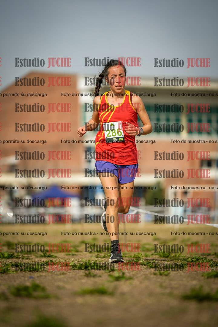 Fotos en el quinto punto del circuito