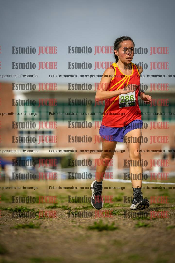 Fotos en el quinto punto del circuito
