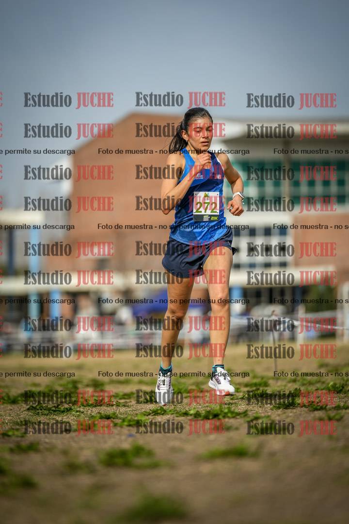 Fotos en el quinto punto del circuito