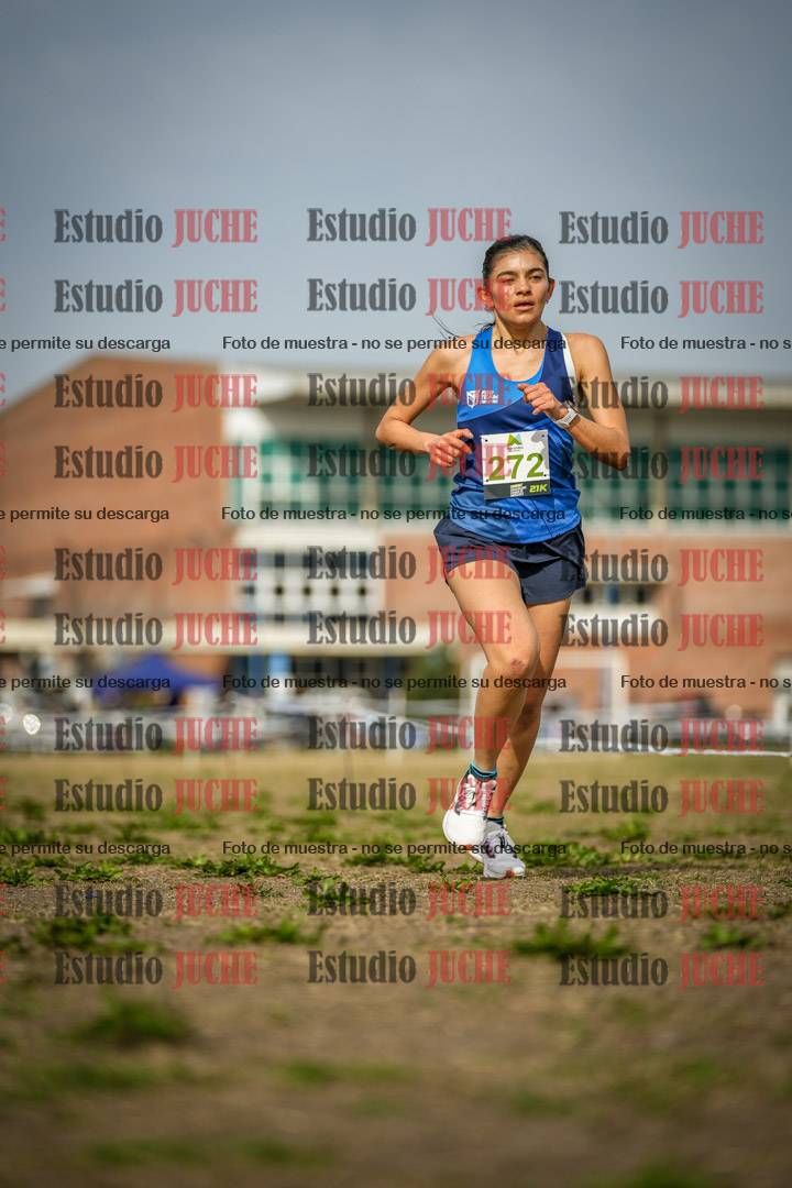 Fotos en el quinto punto del circuito