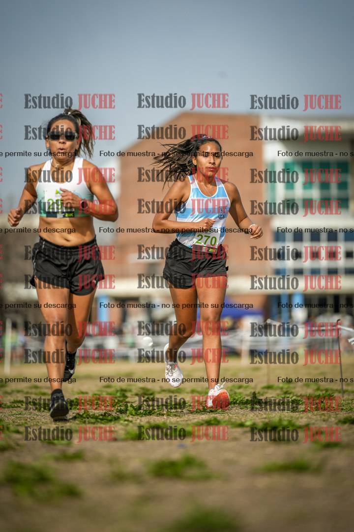 Fotos en el quinto punto del circuito
