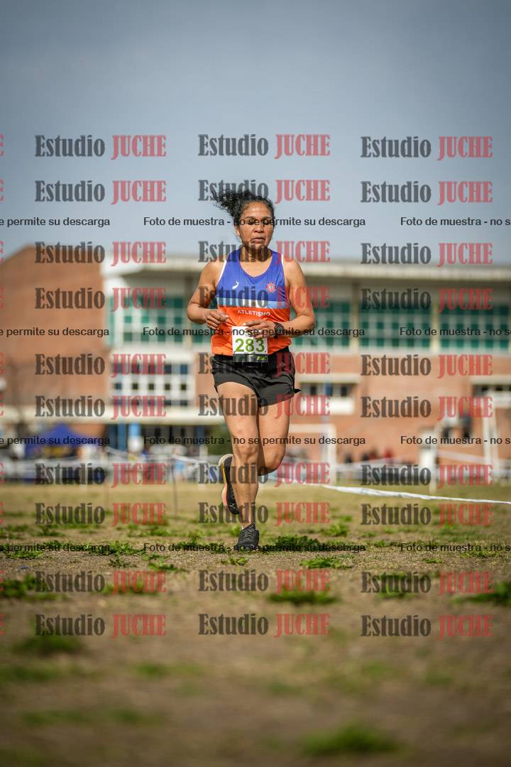 Fotos en el quinto punto del circuito