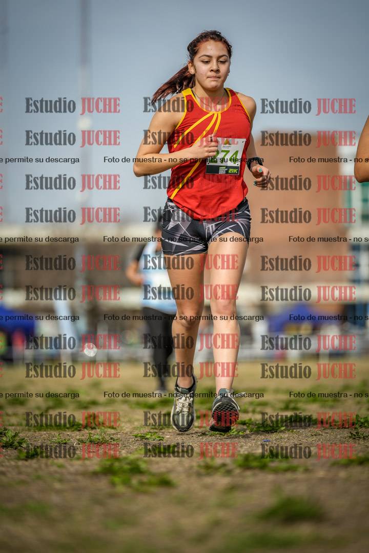 Fotos en el quinto punto del circuito