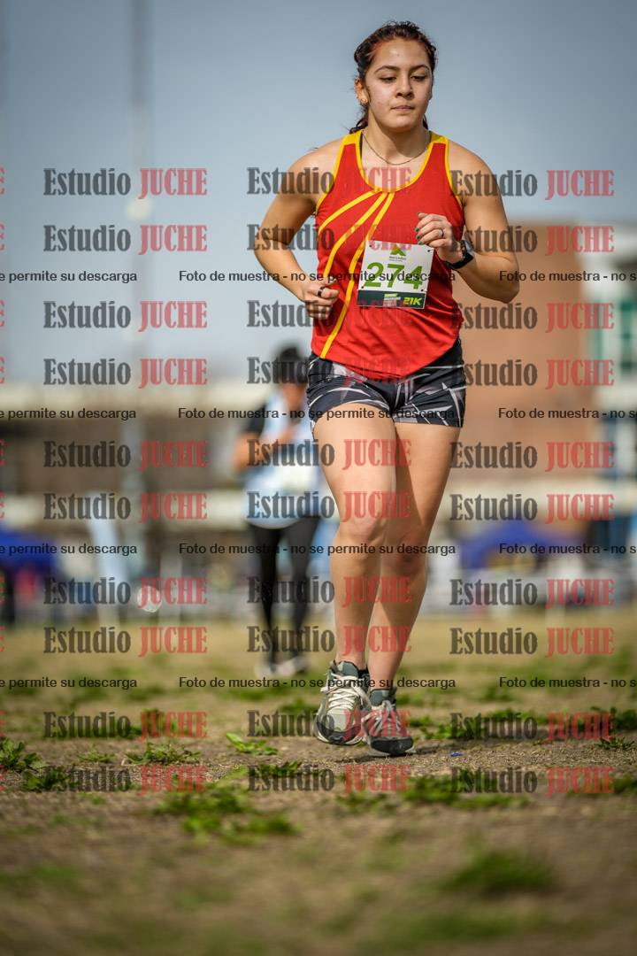 Fotos en el quinto punto del circuito