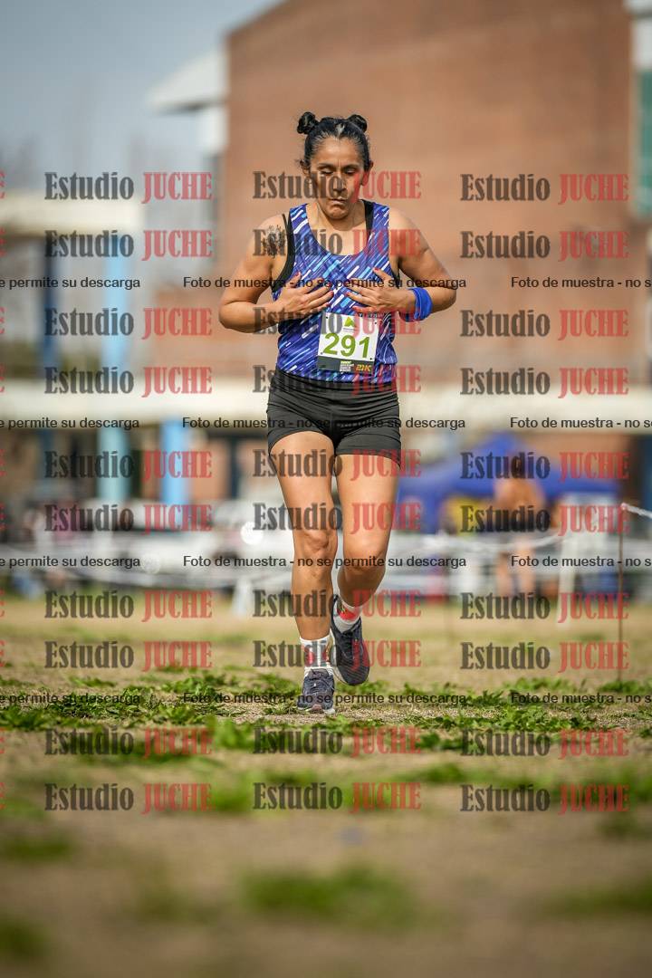 Fotos en el quinto punto del circuito
