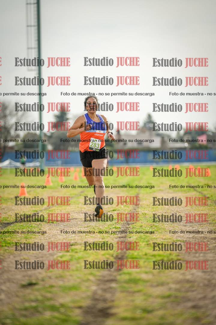 Fotos de la llegada del cross de 4000 m - mujeres