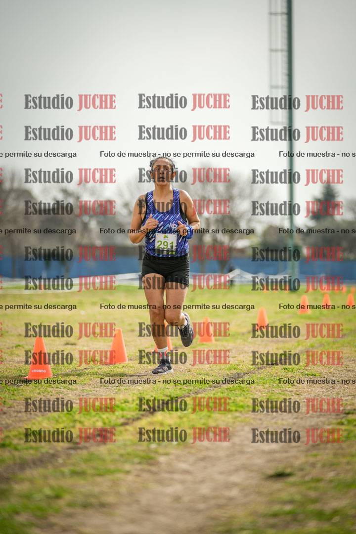Fotos de la llegada del cross de 4000 m - mujeres