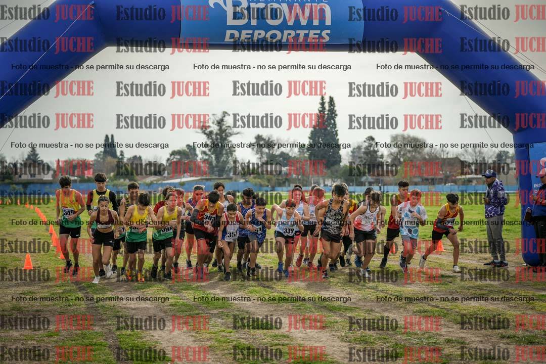 Fotos en de la largada