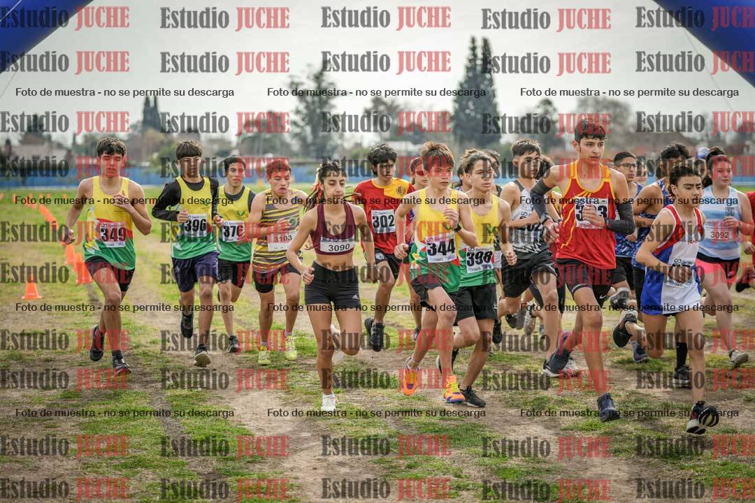 Fotos en de la largada